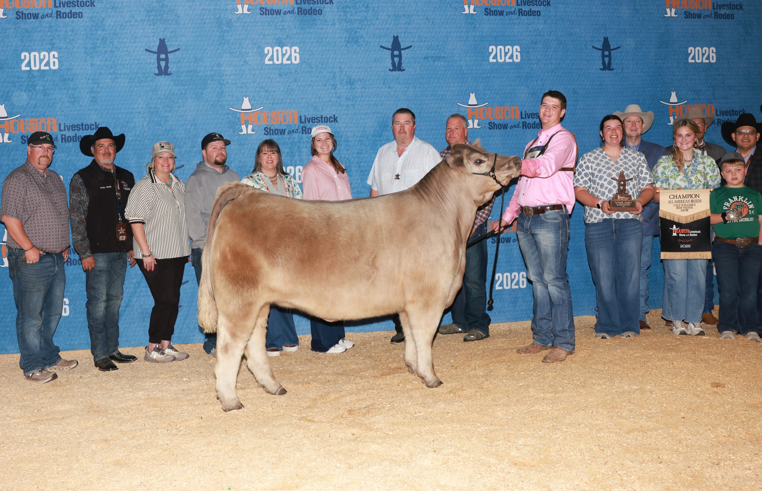 26 HLSR Heifer